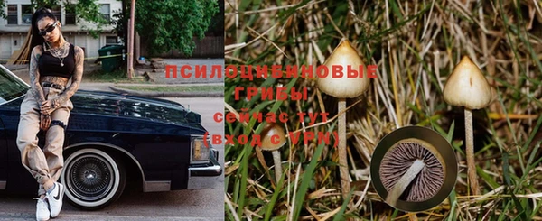 мескалин Алексин