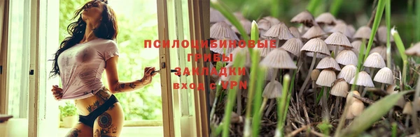мескалин Алексин